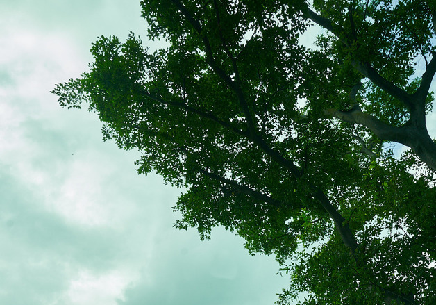 "복수극 틀 깼다"…'경주기행', 피렌체 한국영화제 경쟁부문 초청