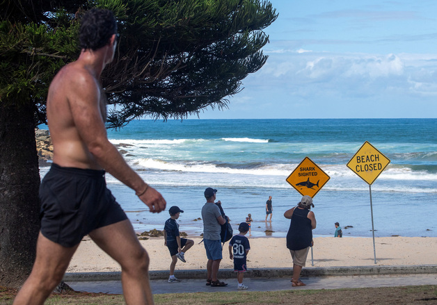 [포토] 상어 공격으로 폐쇄된 호주 해수욕장