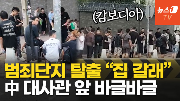 [영상] 캄보디아 중국대사관 앞 구름 인파…"범죄단지 단속 피해 탈출"