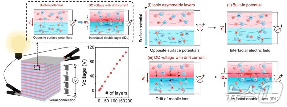 본문 이미지 - 전기가오리를 모방한 적층형 이온 전기셀 구조. 단위 전기셀의 구조와 적층구조(UNIST 제공. 재판매 및 DB금지)/뉴스1