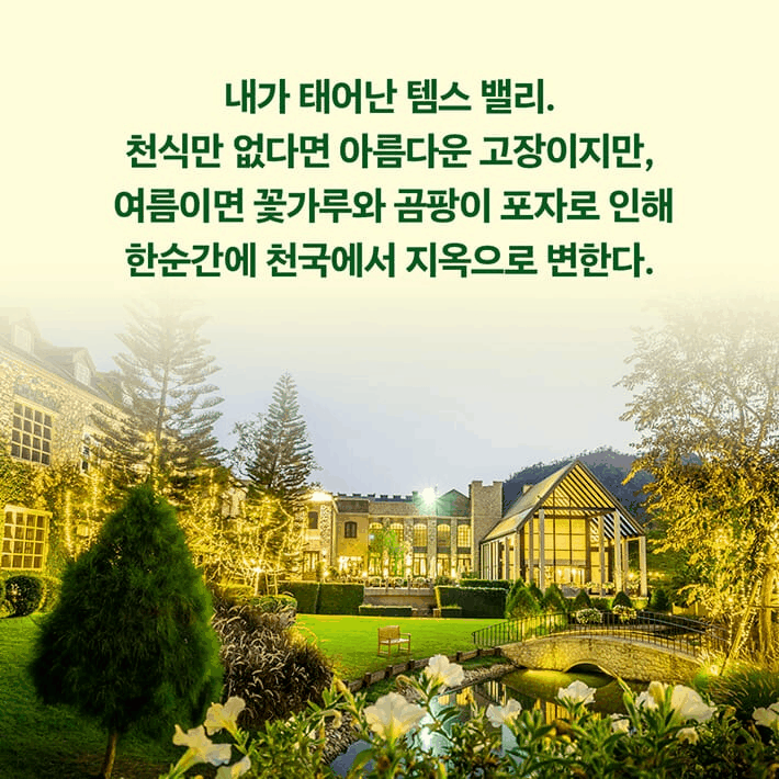 본문 이미지 - [신간] '인류와 함께한 진균의 역사'