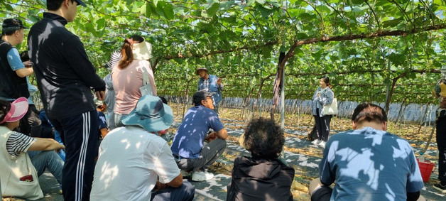 영동군, 농업인 안전보험 지원 90%까지 확대