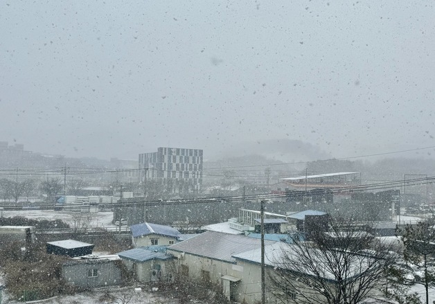 영광 9.7㎝ 적설…전남 일부 도로 통행 통제·입산 제한