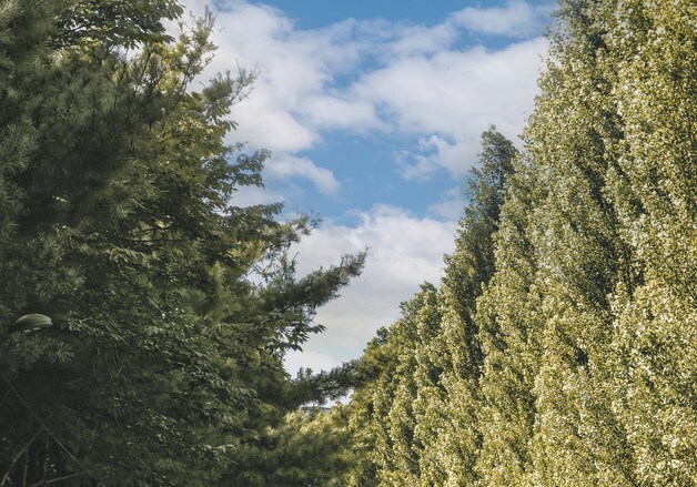 노원구 '경춘선 숲길' 870m 연장…광운대역세권까지