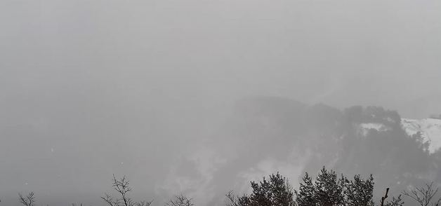 '누적 적설량 19.8㎝' 울릉도·독도 대설주의보→대설경보 상향