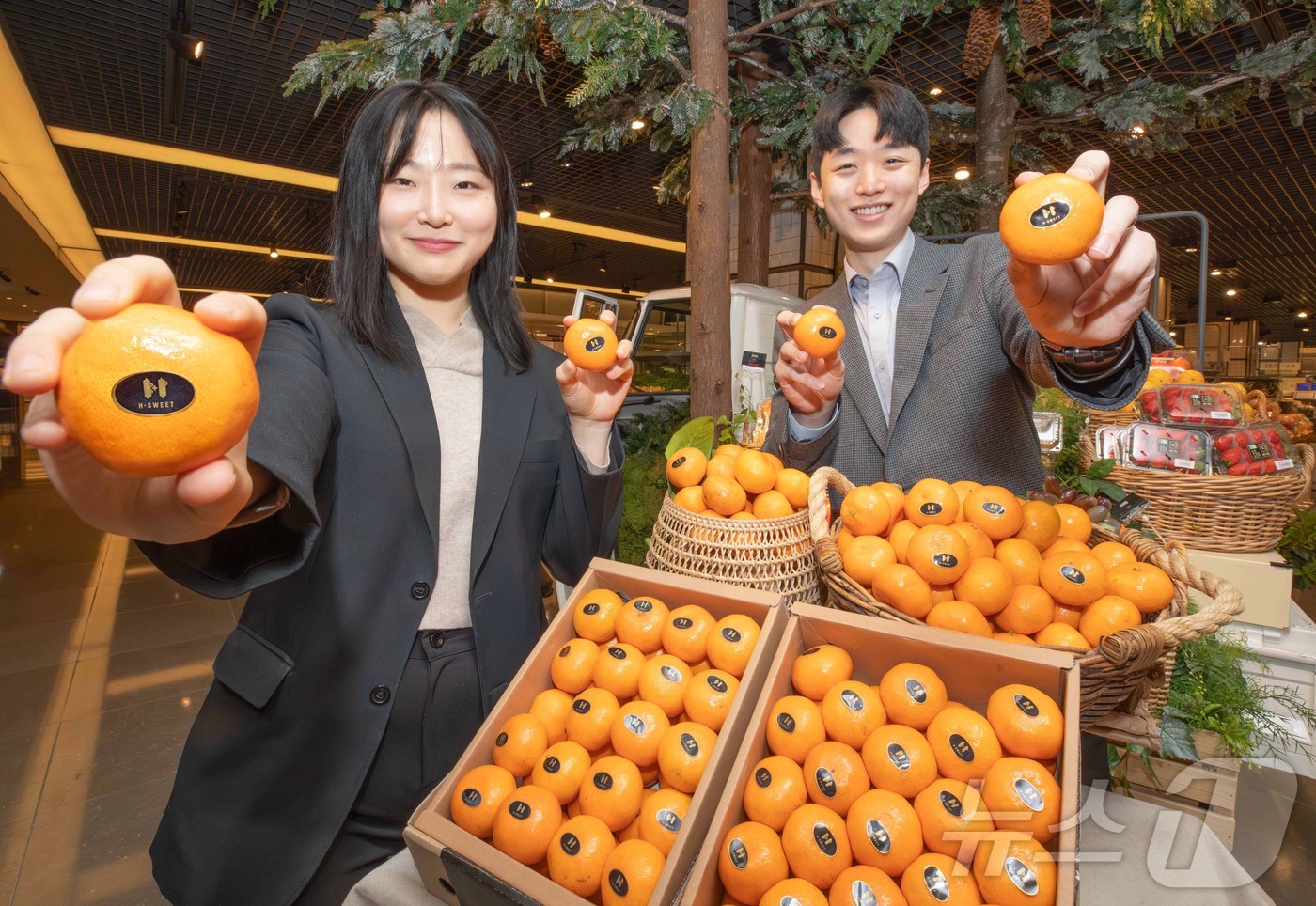 (서울=뉴스1) = 현대백화점은 오는 23일부터 압구정본점 등 전국 전 점포 식품관에서 당도 기준을 17브릭스 이상 선별한 고당도 감귤 'H스위트 17'을 선보인다고 21일 밝혔다 …
