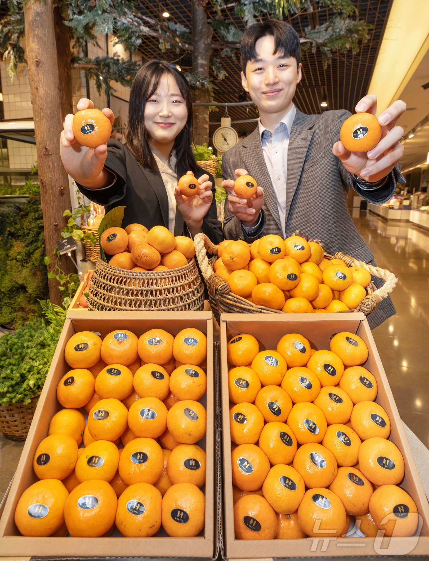 (서울=뉴스1) = 현대백화점은 오는 23일부터 압구정본점 등 전국 전 점포 식품관에서 당도 기준을 17브릭스 이상 선별한 고당도 감귤 'H스위트 17'을 선보인다고 21일 밝혔다 …