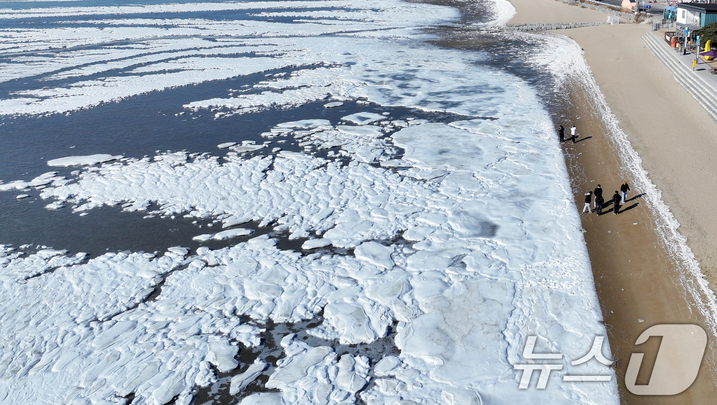 (강화=뉴스1) 박정호 기자 = 전국 곳곳에 한파특보가 발효돼 맹추위가 이어진 21일 인천 강화도 동막해변 일대가 얼어붙어 있다.기상청에 따르면 전국 대부분 지역에서는 당분간 아침 …