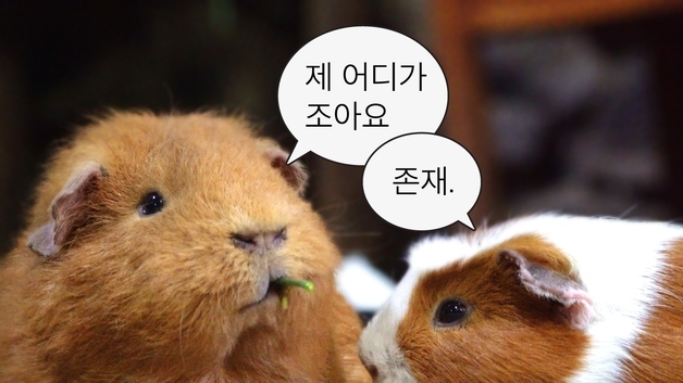 하나투어, 홍보 버리고 '재미' 택했더니…유튜브 구독자 3배 '쑥'