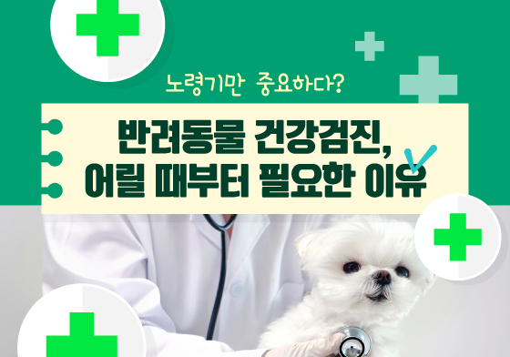 노령기만 중요?…반려동물 건강검진, 어릴 때부터 필요한 이유[펫카드]