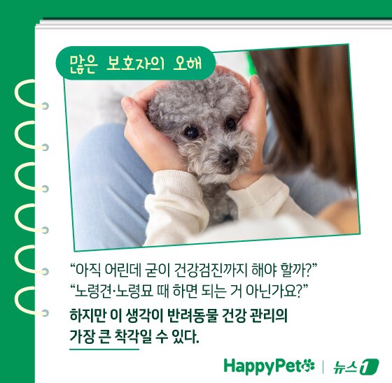 본문 이미지 - ⓒ News1 김지영 디자이너