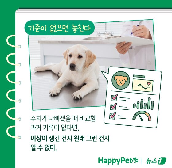 본문 이미지 - ⓒ News1 김지영 디자이너