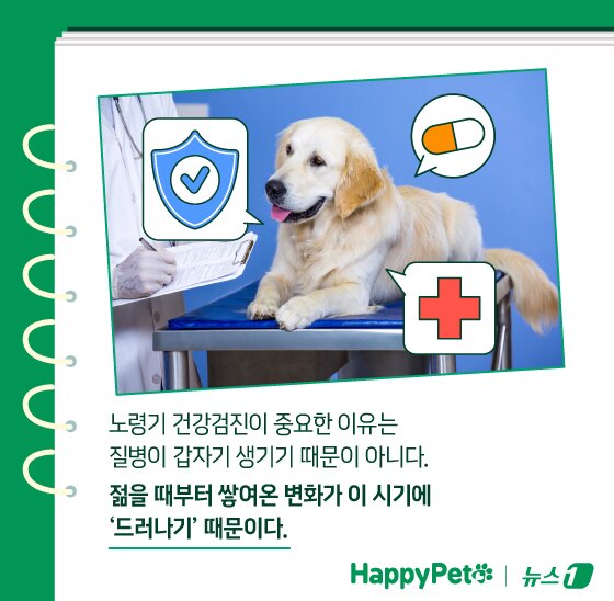 본문 이미지 - ⓒ News1 김지영 디자이너