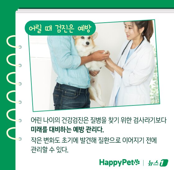 본문 이미지 - ⓒ News1 김지영 디자이너