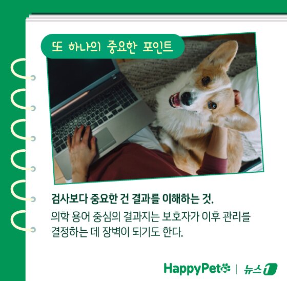 본문 이미지 - ⓒ News1 김지영 디자이너