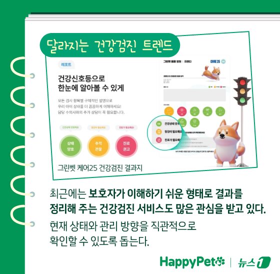 본문 이미지 - ⓒ News1 김지영 디자이너