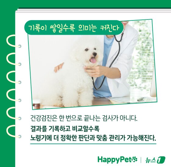 본문 이미지 - ⓒ News1 김지영 디자이너