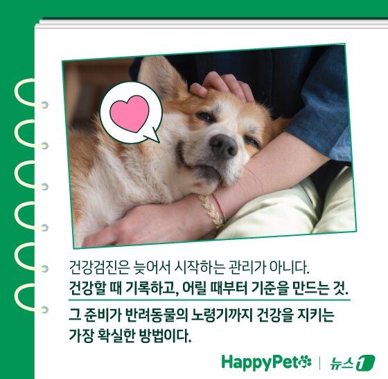 본문 이미지 - ⓒ News1 김지영 디자이너