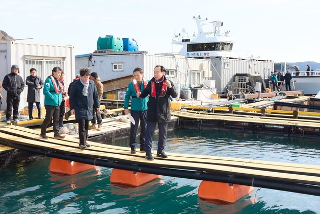 통영시, 가두리 양식장 저수온 피해 대비 현장점검