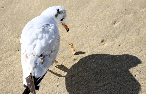 새우맛 과자가 아닌가?