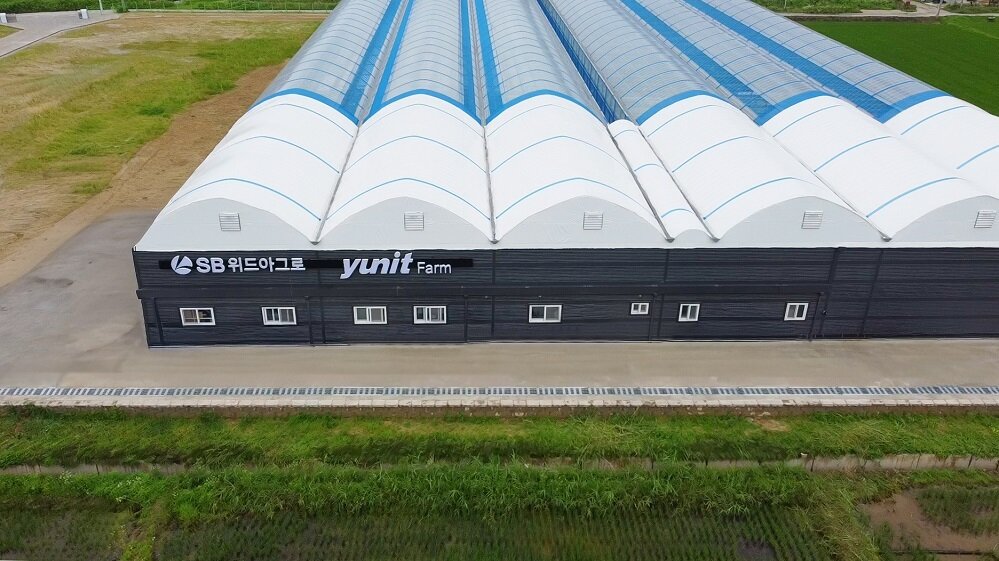본문 이미지 - 경기 여주에 위치한 SB위드아그로의 스마트팜 윤잇팜(yunit Farm) 전경. 지역 농가 협력과 스마트팜 운영 경험을 바탕으로 다양한 사업 모델을 검토하고 있다. (사진=SB성보)
