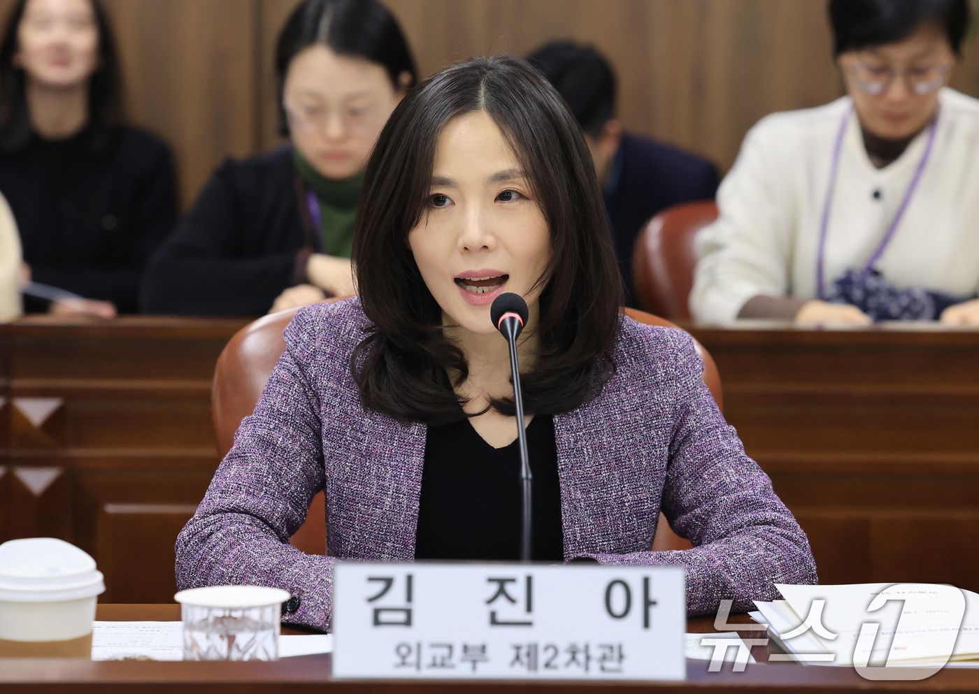 (서울=뉴스1) 임세영 기자 = 김진아 외교부 2차관이 21일 서울 종로구 외교부 청사에서 열린 제12차 무상개발협력전략회의에서 모두발언을 하고 있다. 2026.1.21/뉴스1