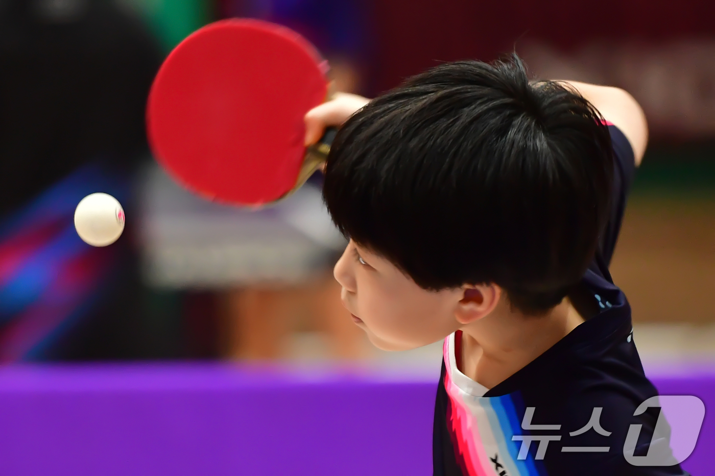 (포항=뉴스1) 최창호 기자 = 21일 경북 포항시 장량초등학교 체육관에서 열린 제1회 경북 포항동계전지훈련 탁구 스토브리그 대회에서 봉화 상운초등학교 김아영(3학년) 선수가 서브 …