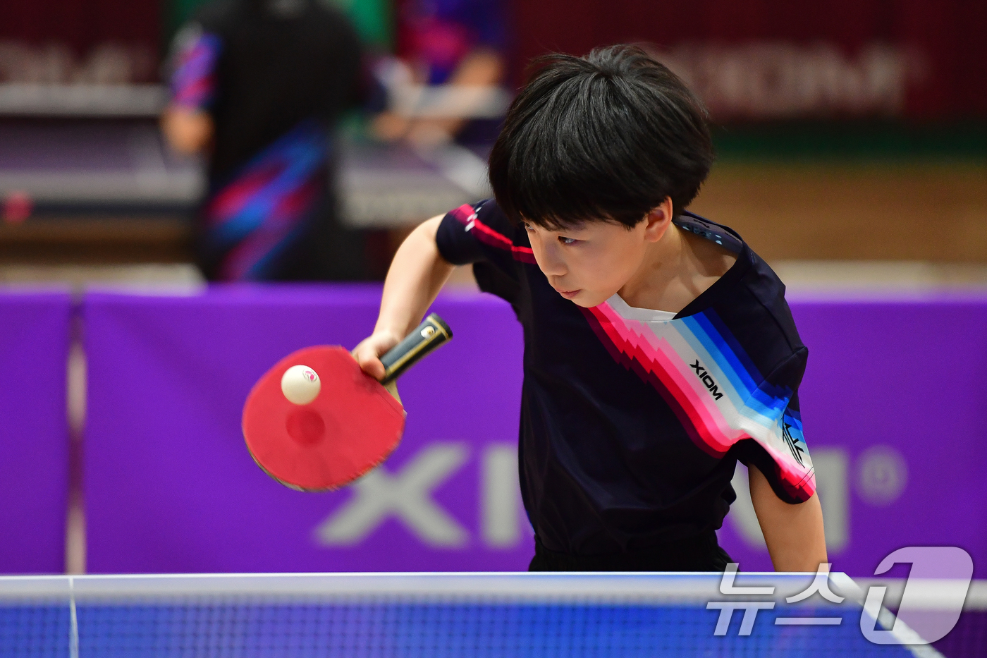 (포항=뉴스1) 최창호 기자 = 21일 경북 포항시 장량초등학교 체육관에서 열린 제1회 경북 포항동계전지훈련 탁구 스토브리그 대회에서 봉화 상운초등학교 김아영(3학년) 선수가 서브 …