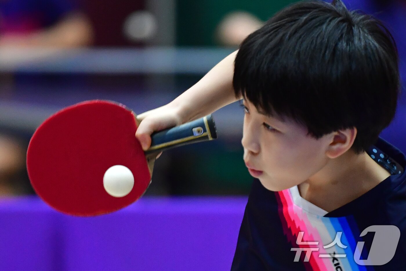 본문 이미지 - 21일 경북 포항시 장량초등학교 체육관에서 열린 제1회 경북 포항동계전지훈련 탁구 스토브리그 대회에서 봉화 상운초등학교 김아영(3학년) 선수가 서브를 넣고 있다.  2026.1.21/뉴스1 ⓒ News1 최창호 기자