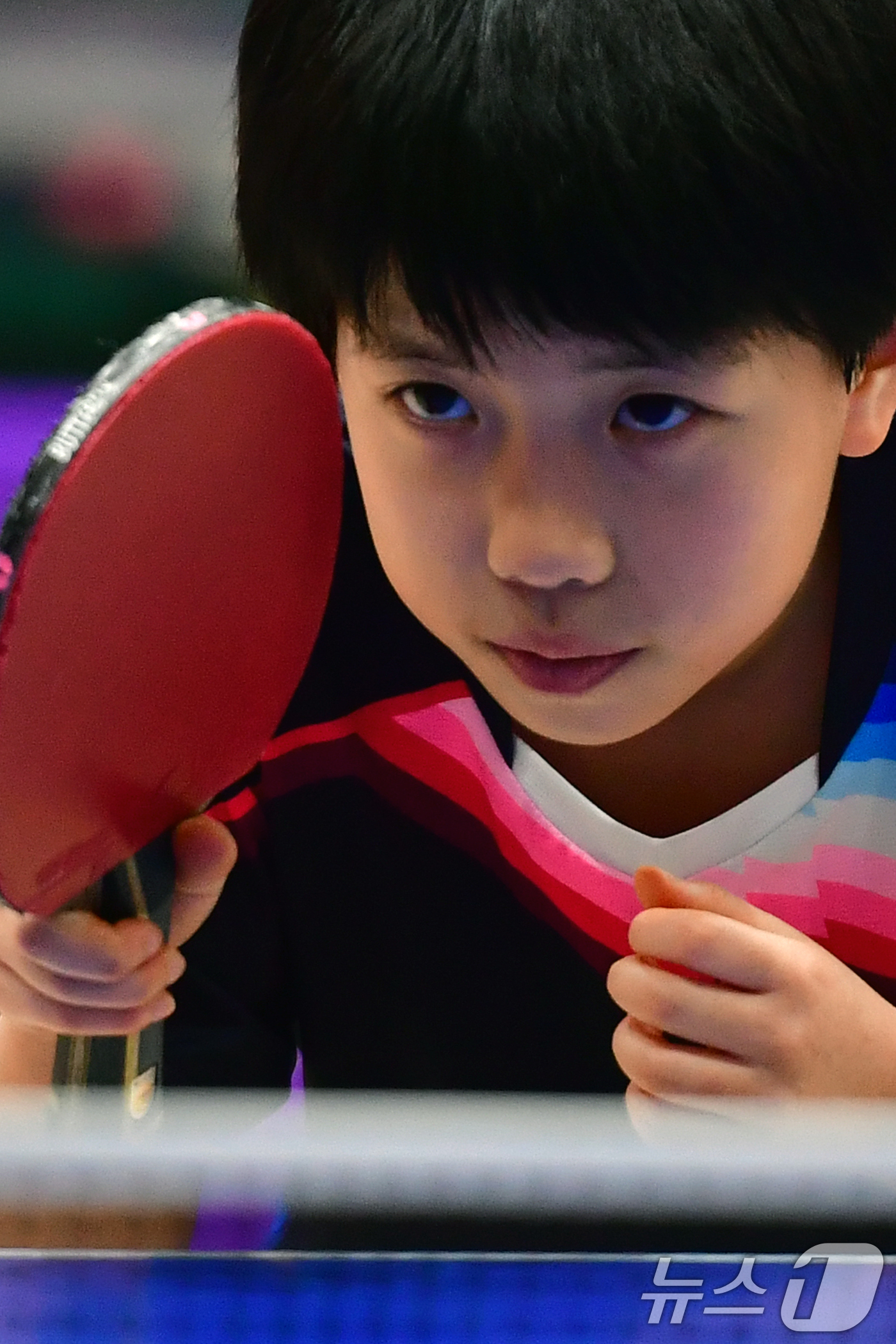 (포항=뉴스1) 최창호 기자 = 21일 경북 포항시 장량초등학교 체육관에서 열린 제1회 경북 포항동계전지훈련 탁구 스토브리그 대회에서 봉화 상운초등학교 김아영(3학년) 선수가 집중 …