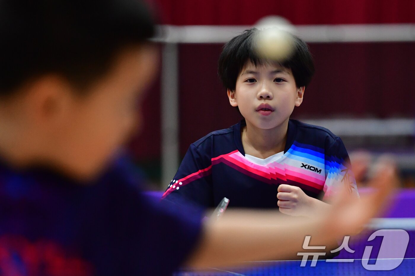본문 이미지 - 21일 경북 포항시 장량초등학교 체육관에서 열린 제1회 경북 포항동계전지훈련 탁구 스토브리그 대회에서 봉화 상운초등학교 김아영(3학년) 선수가 집중하고 있다. 김아영 선수는 지난해 제3회 유승민 전 IOC위원배 U12 전국탁구대회 1~2학년부 등에 출전해 3번의 우승을 차지한 유망주다. 2026.1.21/뉴스1 ⓒ News1 최창호 기자