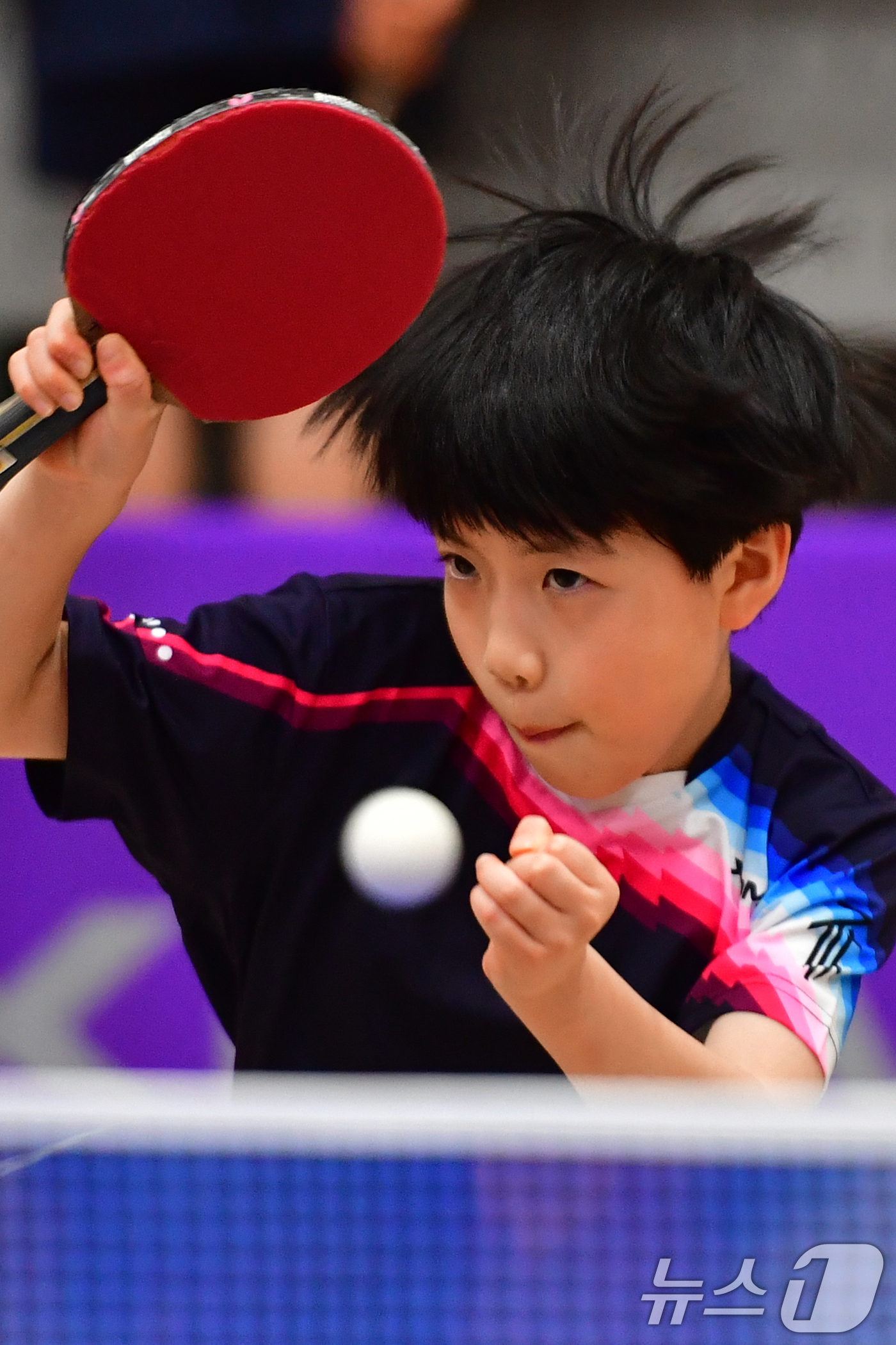 (포항=뉴스1) 최창호 기자 = 21일 경북 포항시 장량초등학교 체육관에서 열린 제1회 경북 포항동계전지훈련 탁구 스토브리그 대회에서 봉화 상운초등학교 김아영(3학년) 선수가 공격 …
