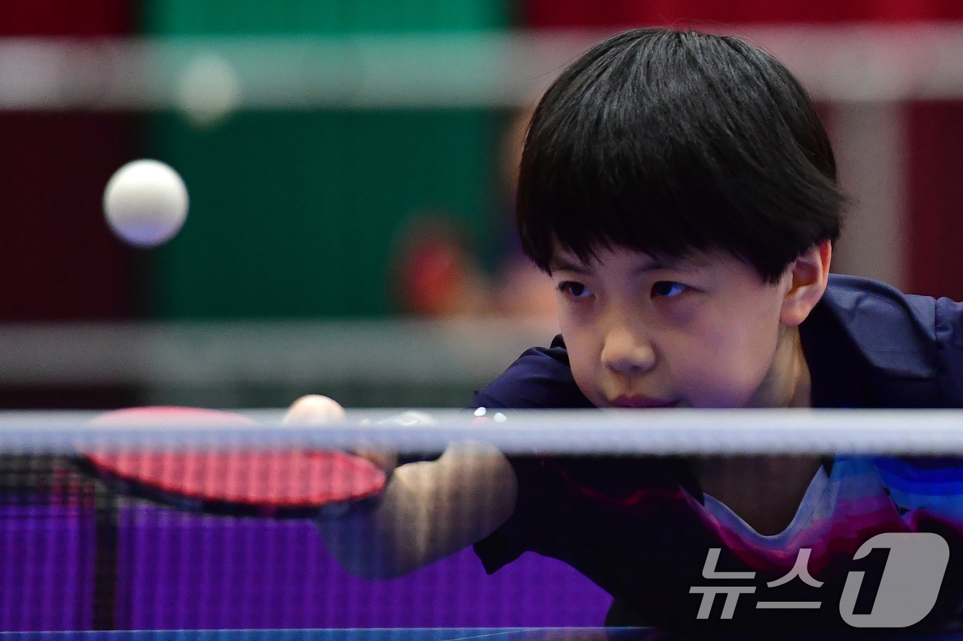 (포항=뉴스1) 최창호 기자 = 21일 경북 포항시 장량초등학교 체육관에서 열린 제1회 경북 포항동계전지훈련 탁구 스토브리그 대회에서 봉화 상운초등학교 김아영(3학년) 선수가 공을 …