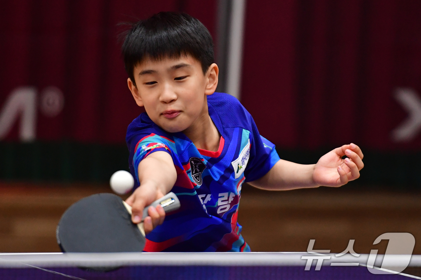 (포항=뉴스1) 최창호 기자 = 21일 경북 포항시 장량초등학교 체육관에서 열린 제1회 경북 포항동계전지훈련 탁구 스토브리그 대회에서 장량초등학교 전하준 선수가 공을 넘기고 있다. …