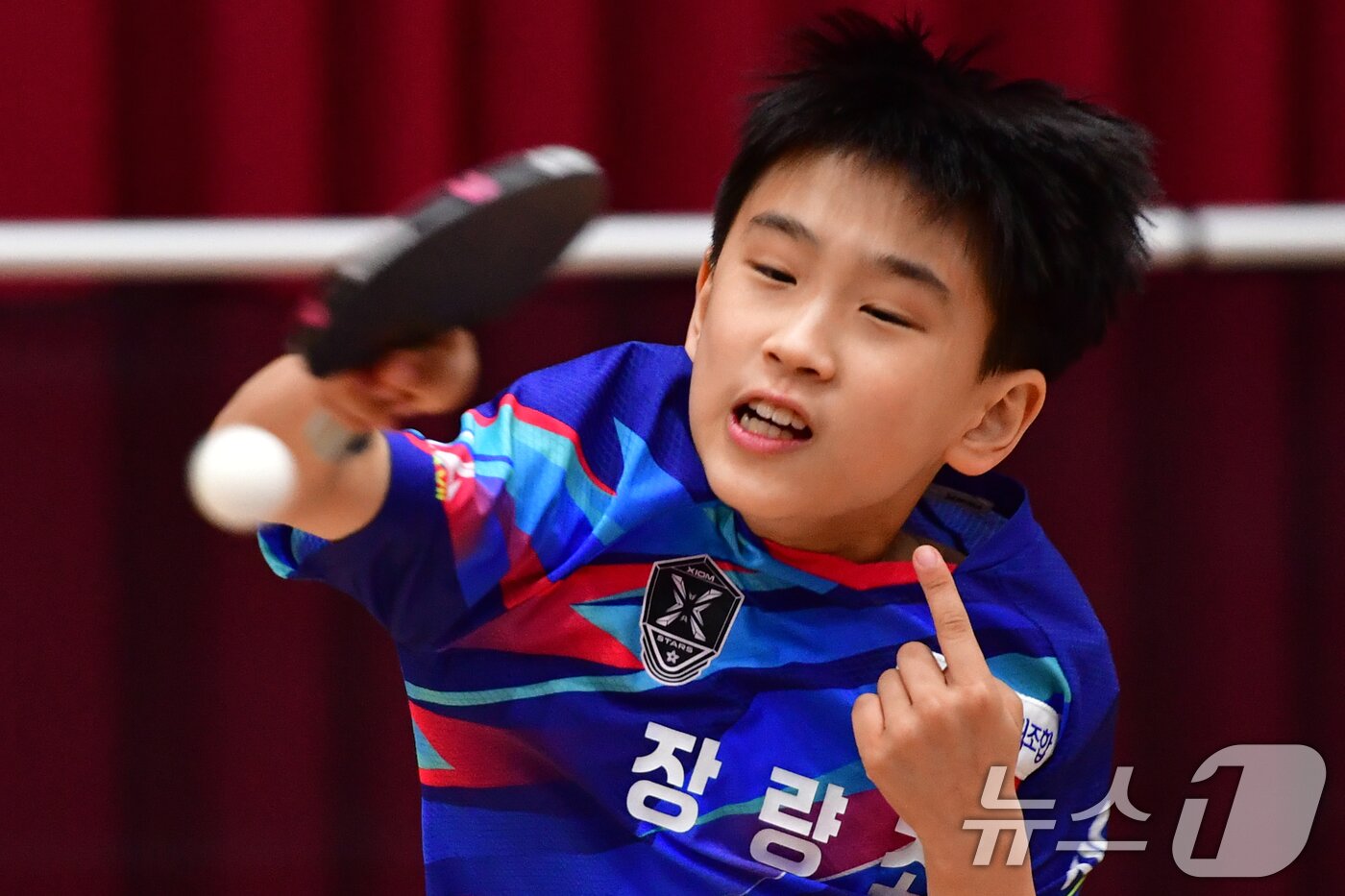 본문 이미지 - 21일 경북 포항시 장량초등학교 체육관에서 열린 제1회 경북 포항동계전지훈련 탁구 스토브리그 대회에서 장량초등학교 전하준 선수가 공을 넘기고 있다. ⓒ News1 최창호 기자