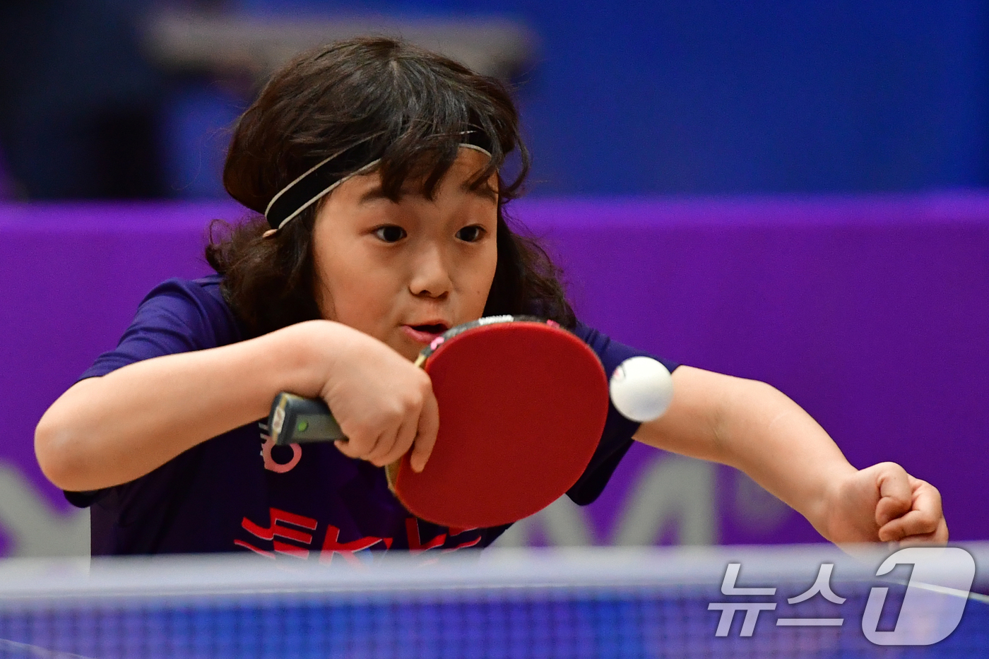 (포항=뉴스1) 최창호 기자 = 21일 경북 포항시 장량초등학교 체육관에서 열린 제1회 경북 포항동계전지훈련 탁구 스토브리그 대회에서 윤도윤 영천 중앙초등학교(4년) 선수가 서브를 …