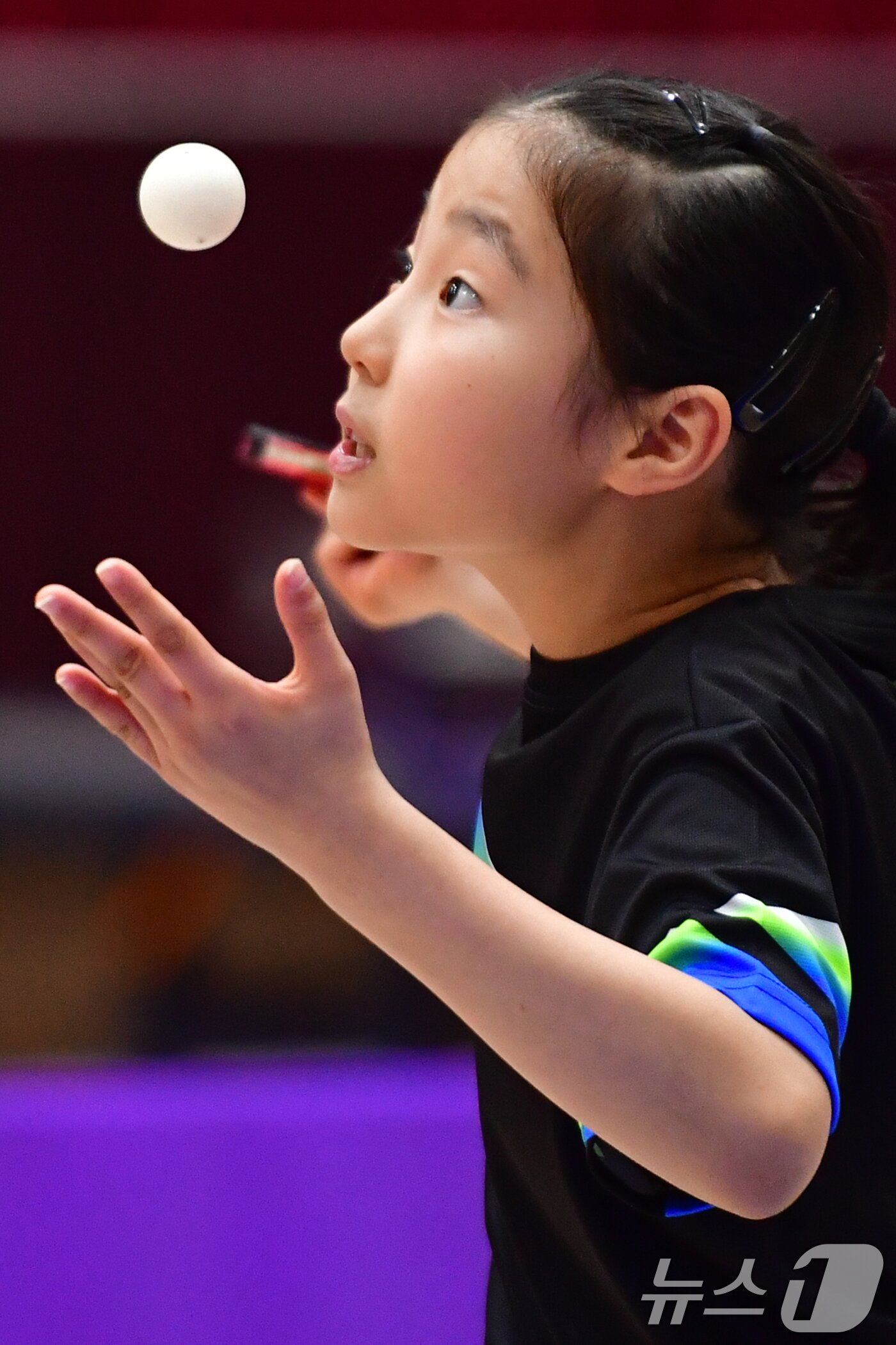 본문 이미지 - 21일 경북 포항시 장량초등학교 체육관에서 열린 제1회 경북 포항동계전지훈련 탁구 스토브리그 대회에서 영천 중앙포은초등학교 이하니 선수가 서브를 넣고 있다. 2026.1.21/뉴스1 ⓒ News1 최창호 기자