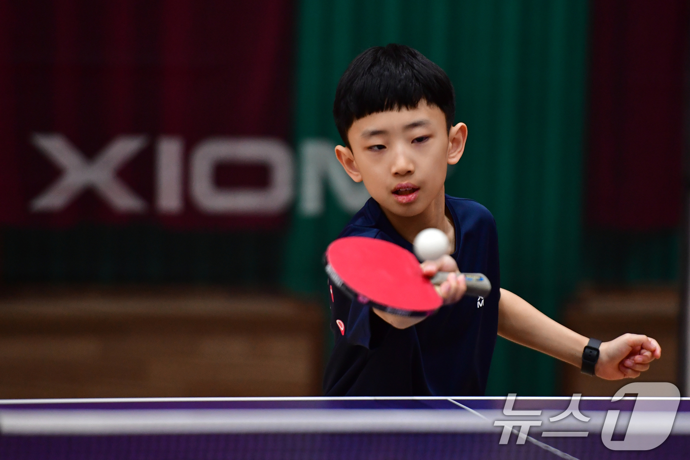 (포항=뉴스1) 최창호 기자 = 21일 경북 포항시 장량초등학교 체육관에서 열린 제1회 경북 포항동계전지훈련 탁구 스토브리그 대회에서 장량초등학교 임준수 선수가 공격하고 있다. 2 …