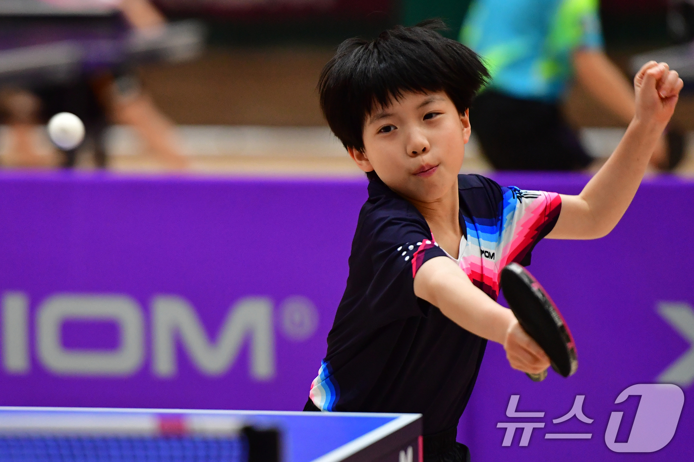 (포항=뉴스1) 최창호 기자 = 21일 경북 포항시 장량초등학교 체육관에서 열린 제1회 경북 포항동계전지훈련 탁구 스토브리그 대회에서 봉화 상운초등학교 김아영(3학년) 선수가 공격 …