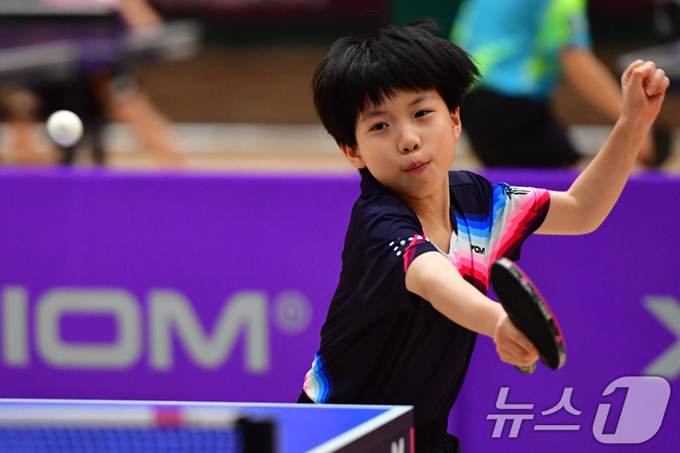 본문 이미지 - 21일 경북 포항시 장량초등학교 체육관에서 열린 제1회 경북 포항동계전지훈련 탁구 스토브리그 대회에서 봉화 상운초등학교 김아영(3학년) 선수가 공격하고 있다. 2026.1.21/뉴스1 ⓒ News1 최창호 기자