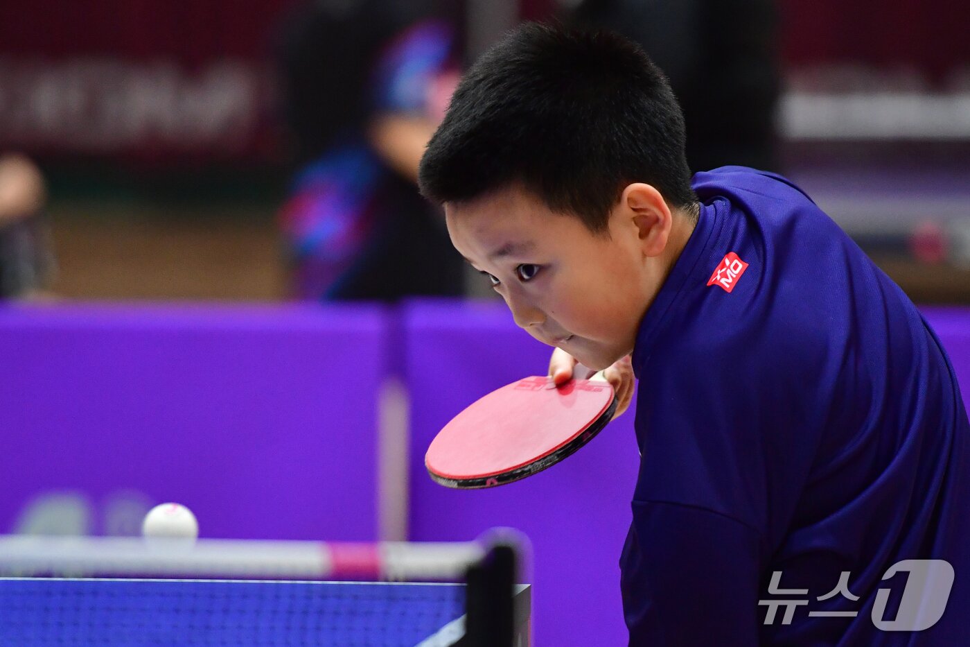 본문 이미지 - 21일 경북 포항시 장량초등학교 체육관에서 열린 제1회 경북 포항동계전지훈련 탁구 스토브리그 대회에서 영천중앙초 정종운 선수가 서브를 넣고 있다. 2026.1.21/뉴스1 ⓒ News1 최창호 기자