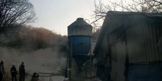춘천 동산면 양계장서 화재 45분 만에 진화…닭 8000마리 폐사