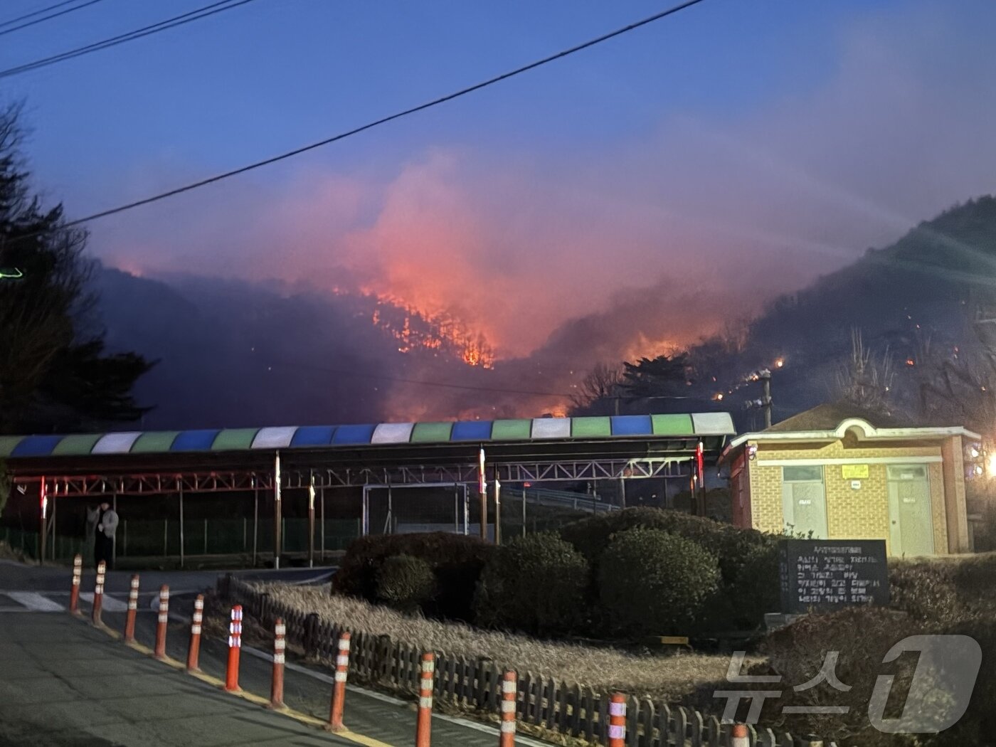 본문 이미지 - 21일 오후 3시 2분쯤 광양 옥곡면 백운산 자락서 불이 나 소방당국이 대응 2단계를 발령하고 화재를 진화하고 있다. 2026.1.21/뉴스1 ⓒ News1 김성준 기자