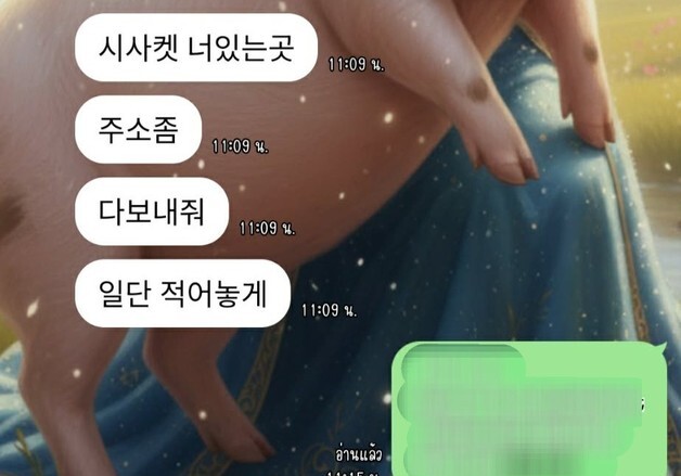 "주소 좀 보내줘"…부천 금은방 강도살인, 범행 후 태국행 준비했나