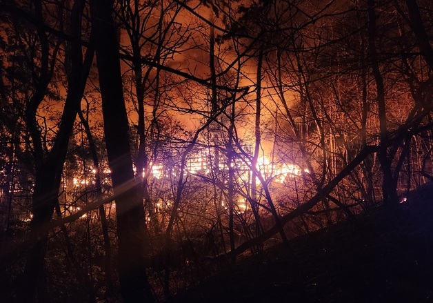부산 산불 확산에 연화터널 차량 통제…리조트 투숙객 대피 권고