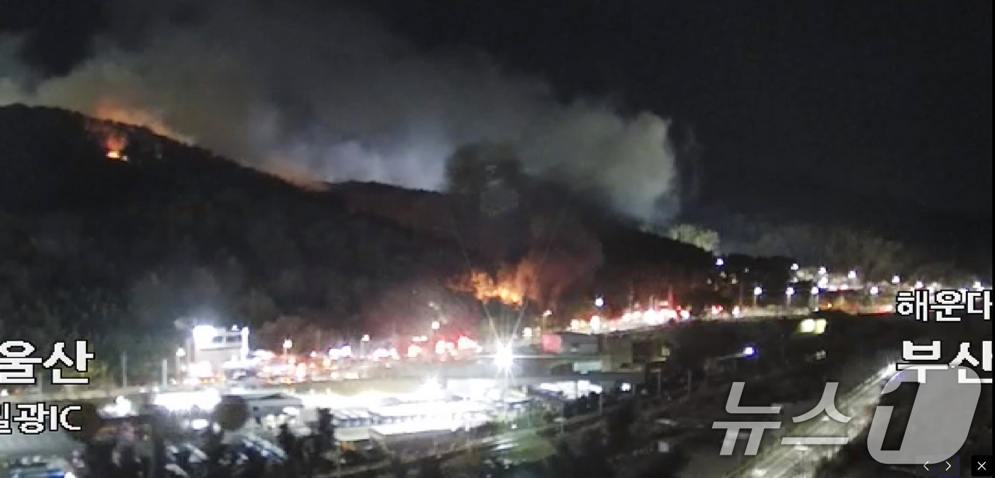 (부산=뉴스1) 윤일지 기자 = 21일 오후 부산 기장군 기장읍 청강리의 한 공장에서 불이 나 인근 야산으로 번져 산불이 확대돼 소방당국이 진화작업을 벌이고 있다. (국가교통정보센 …