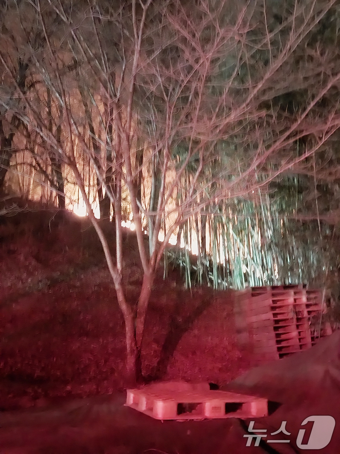 (부산=뉴스1) 윤일지 기자 = 21일 오후 부산 기장군 기장읍 청강리의 한 공장에서 불이 나 인근 야산으로 번져 산불이 확대되고 있다. (산림청 제공. 재판매 및 DB 금지) 2 …