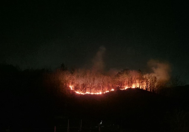 전남 광양 산불 진화율 90%…"일출과 동시에 헬기 투입"