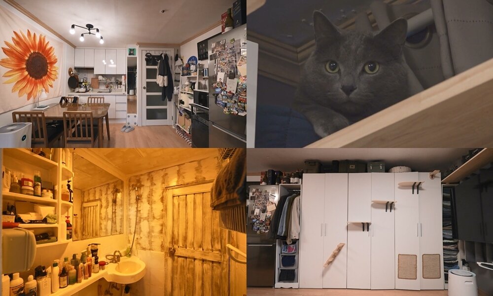 본문 이미지 - MBC