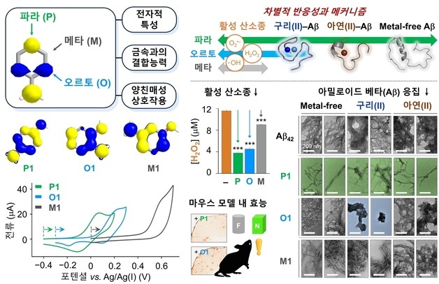 복잡한 알츠하이머 악화 원인, 약물 성분 구조 배치만 바꿔 조절